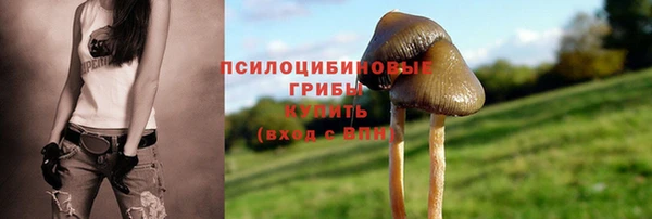 прущий лед Балабаново